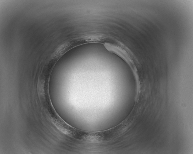 X0000080670209200612221125