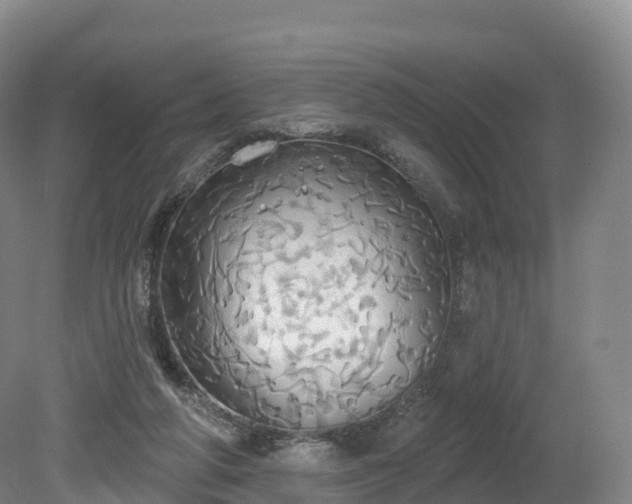 X0000080670210200612221125