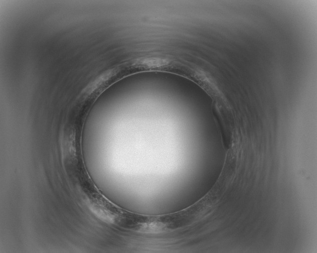 X0000080670212200612221125