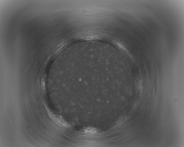 X0000080670214200612221125