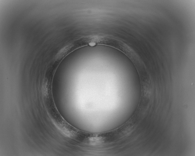 X0000080670216200612221125