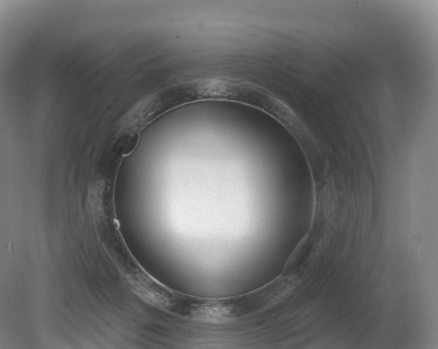 X0000080670217200612221125