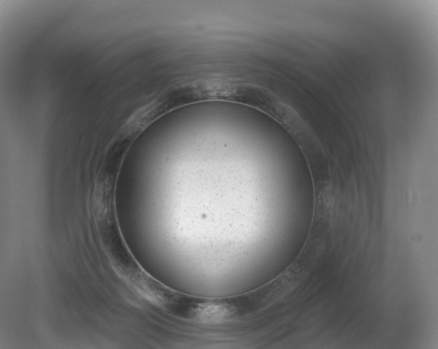 X0000080670218200612221125