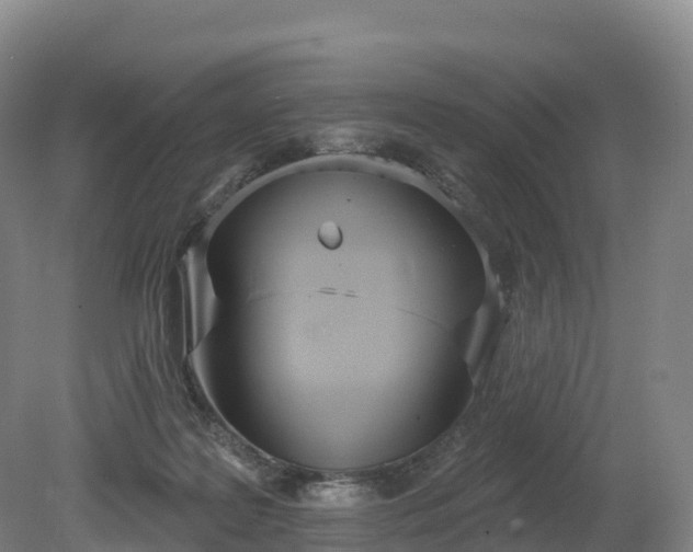 X0000080670219200612221125