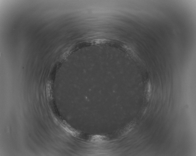 X0000080670222200612221125