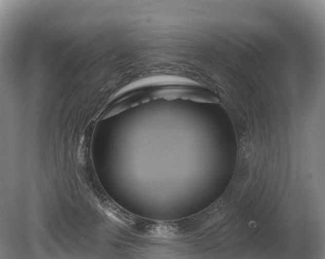 X0000080670223200612221125