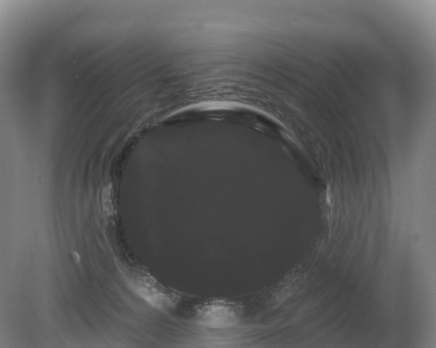 X0000080670224200612221125