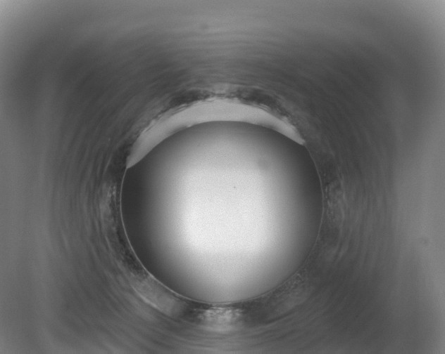 X0000080670225200612221125