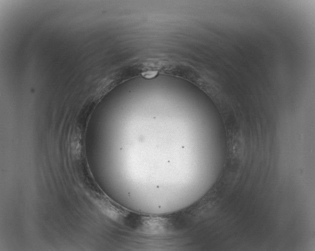 X0000080670226200612221125