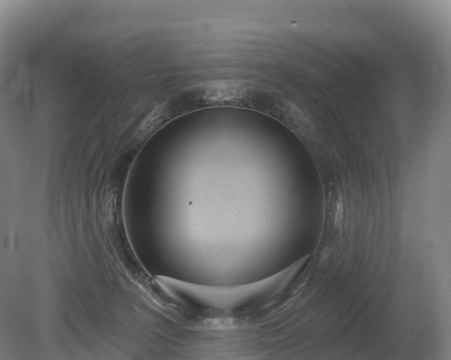 X0000080670227200612221125