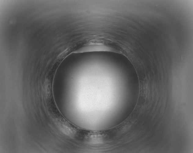 X0000080670228200612221125