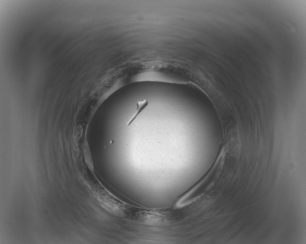 X0000080670229200612221125