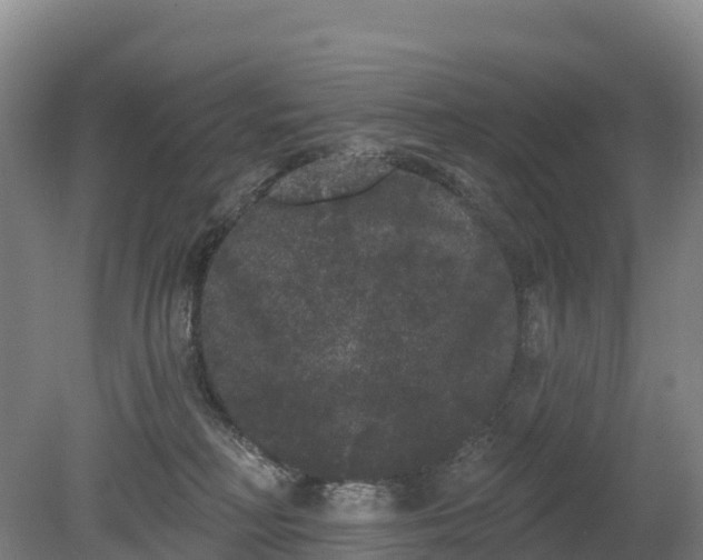 X0000080670230200612221125