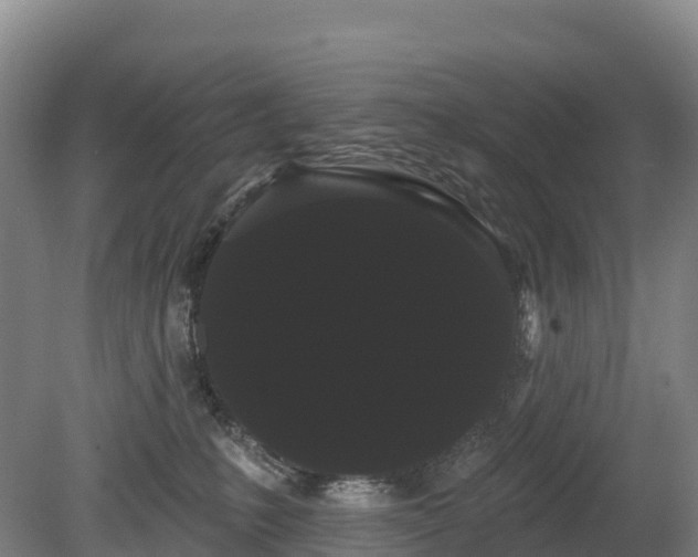 X0000080670231200612221125