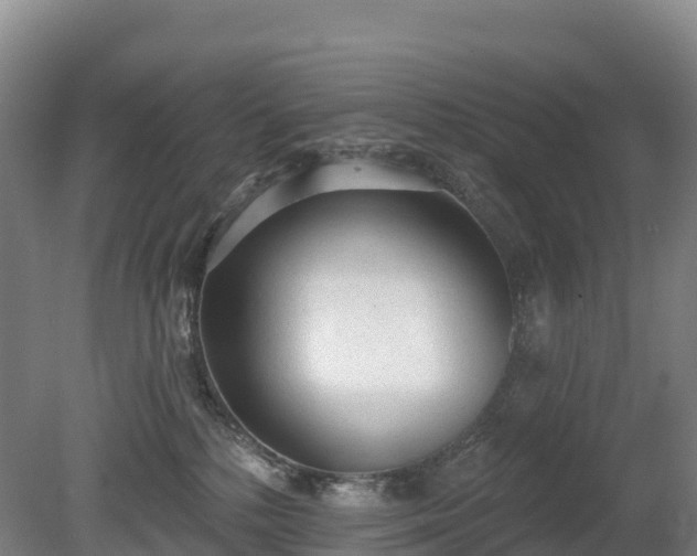 X0000080670232200612221125