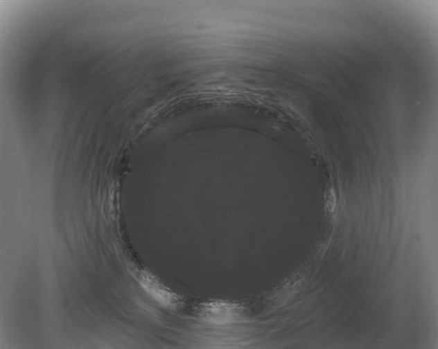 X0000080670233200612221125