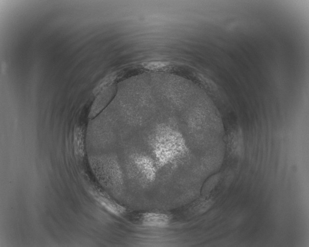 X0000080670234200612221125