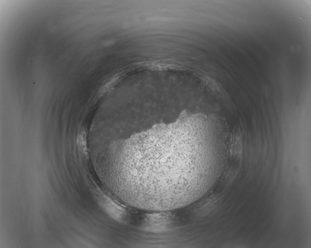 X0000080670238200612221125