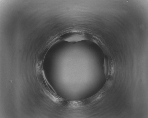 X0000080670239200612221125