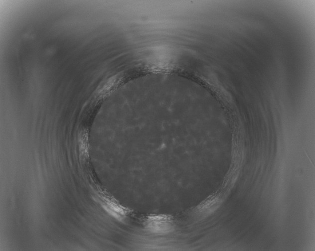 X0000080670240200612221125