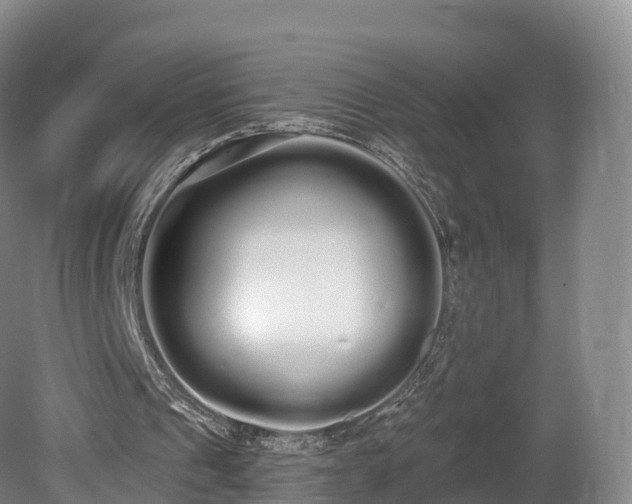 X0000080670241200612221124