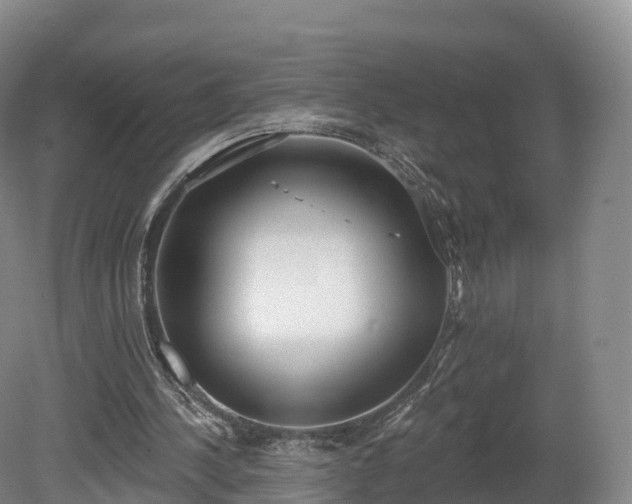 X0000080670244200612221124