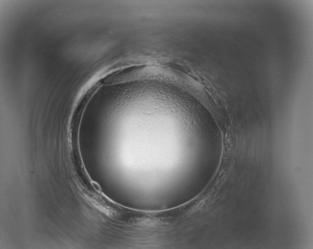 X0000080670246200612221124