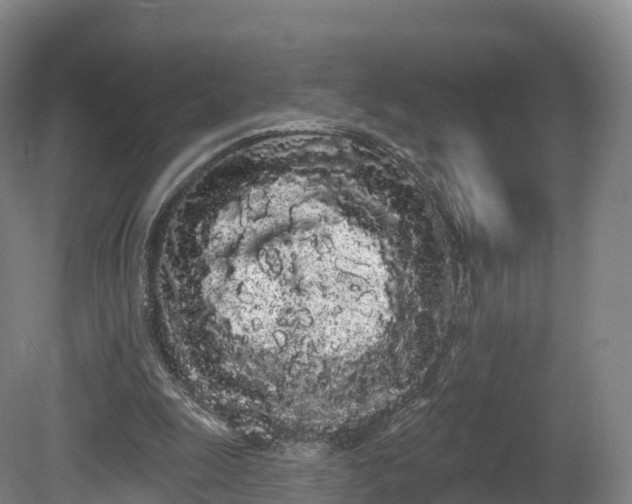 X0000080670247200612221124