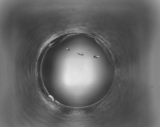 X0000080670248200612221124