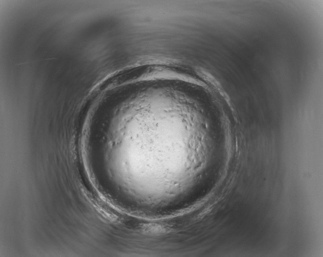 X0000080670249200612221124