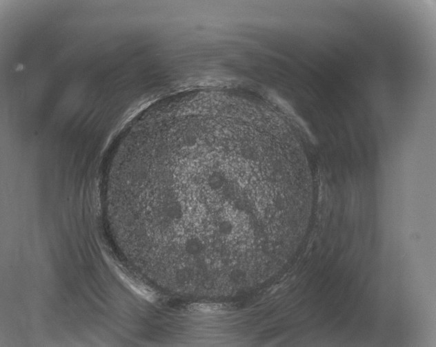 X0000080670250200612221124