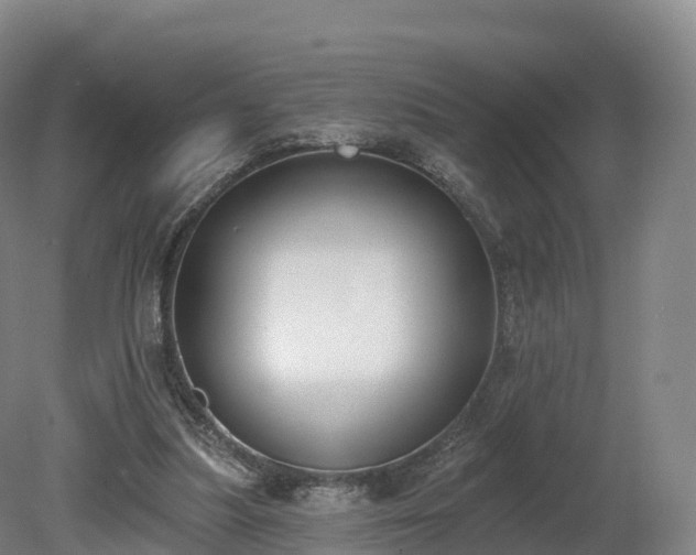 X0000080670251200612221124