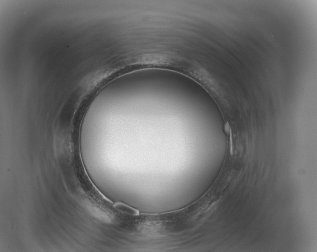 X0000080670252200612221124