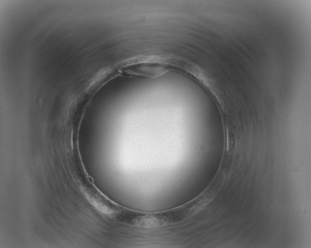 X0000080670253200612221124