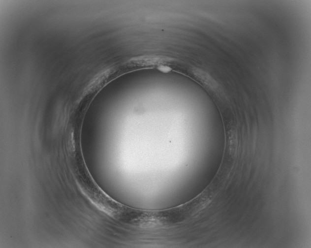 X0000080670254200612221124