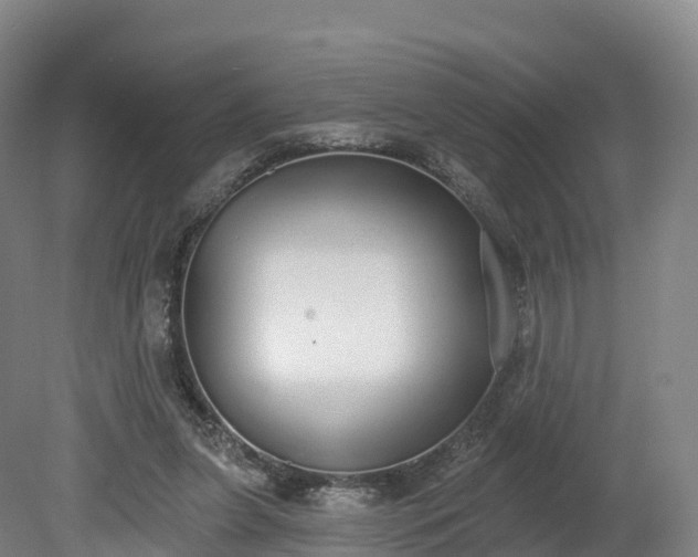 X0000080670255200612221124