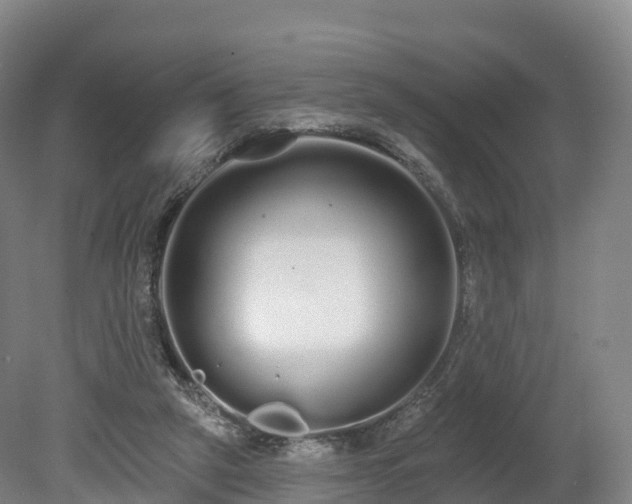 X0000080670257200612221124