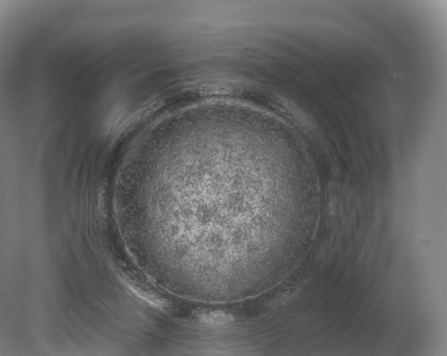 X0000080670258200612221124