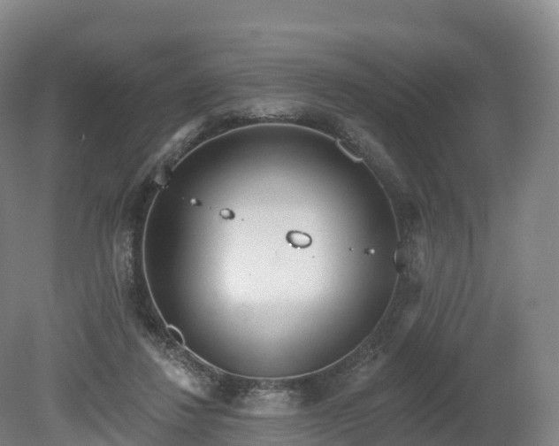 X0000080670260200612221124