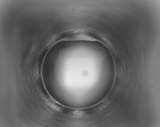 X0000080670261200612221124