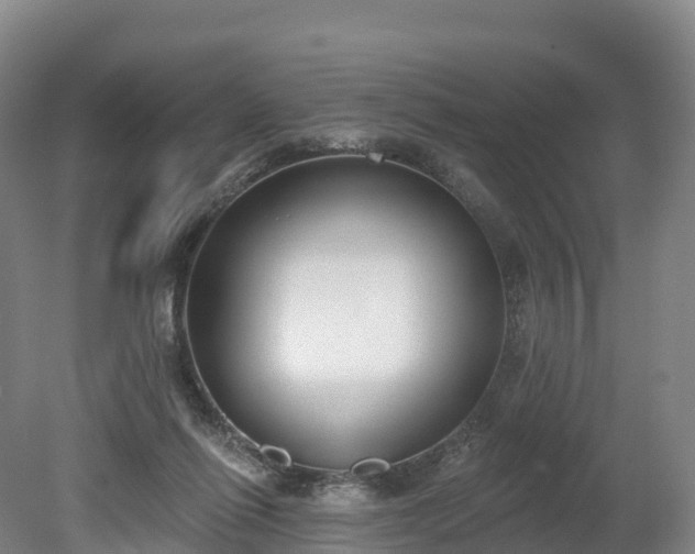 X0000080670262200612221124