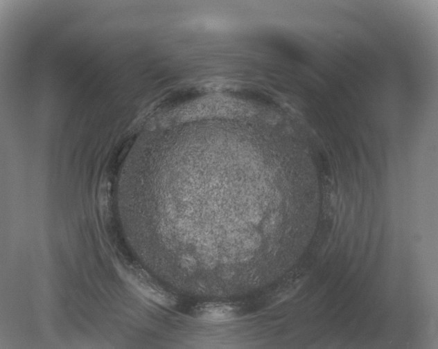 X0000080670263200612221124