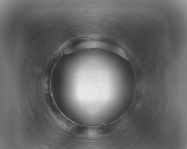 X0000080670264200612221124