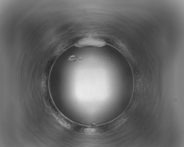 X0000080670265200612221124