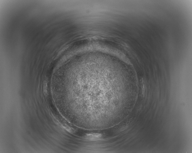 X0000080670266200612221124