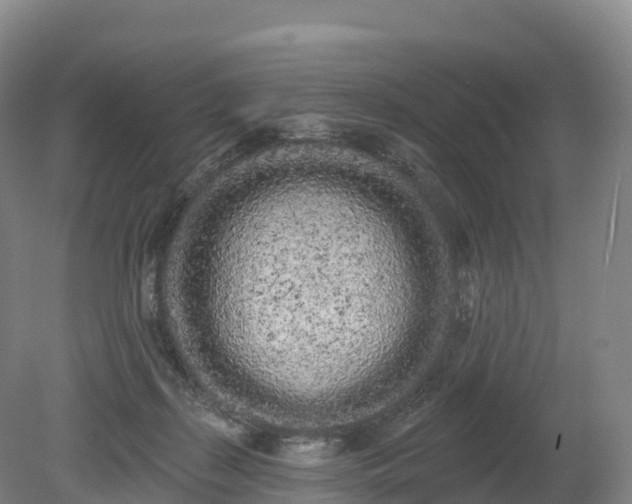 X0000080670267200612221124