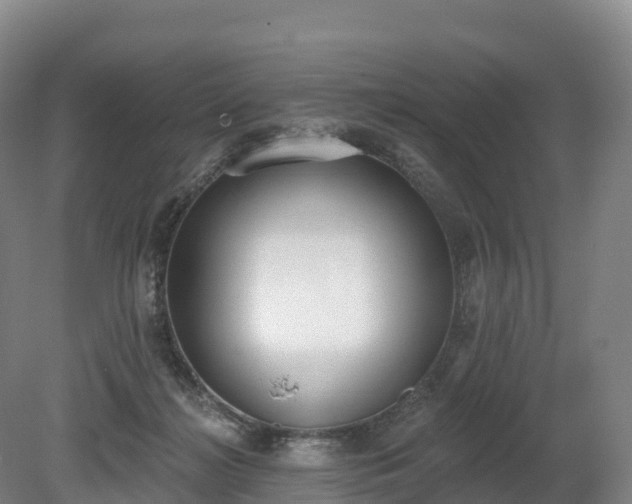 X0000080670268200612221124