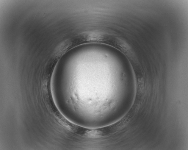 X0000080670269200612221124