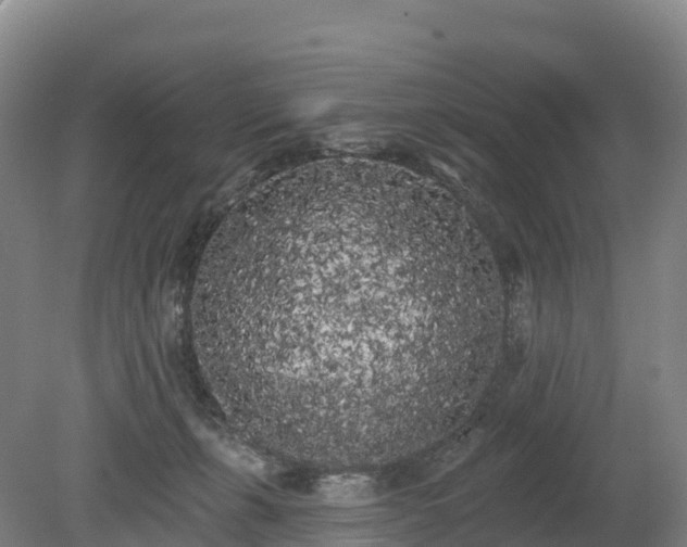 X0000080670271200612221124