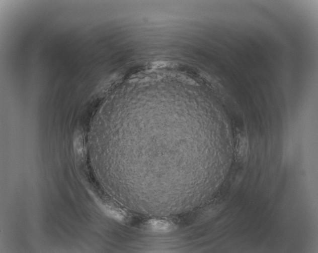 X0000080670272200612221124